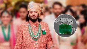 anant ambani wears stunning panther brooch