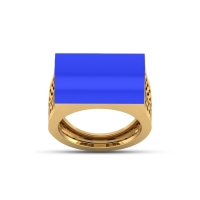 Neema signet gold Ring